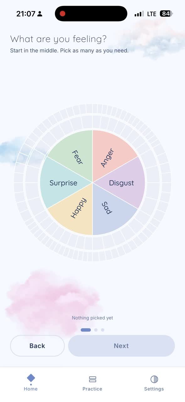 The emotion wheel in the patient app: three rings of feelings around six core emotions, with as many as the person needs selectable.